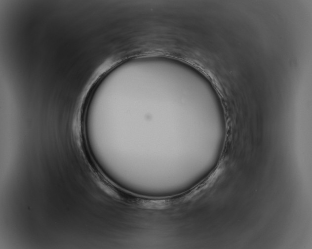 X0000086780102200705111803