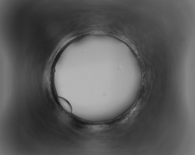 X0000086780103200705111803