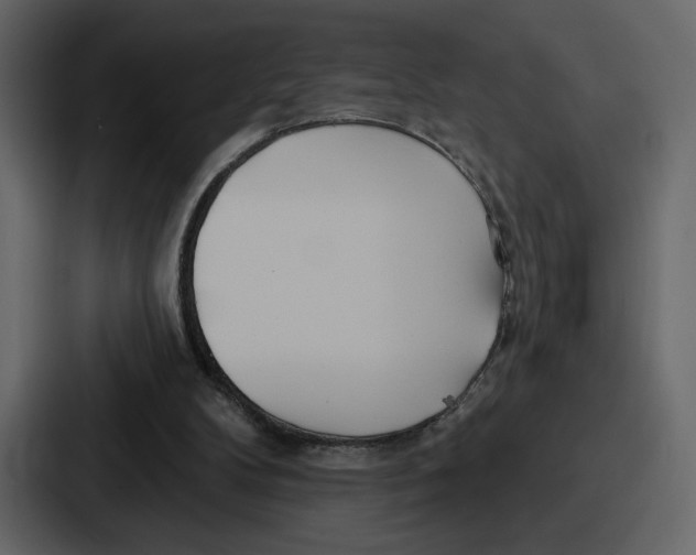 X0000086780104200705111803