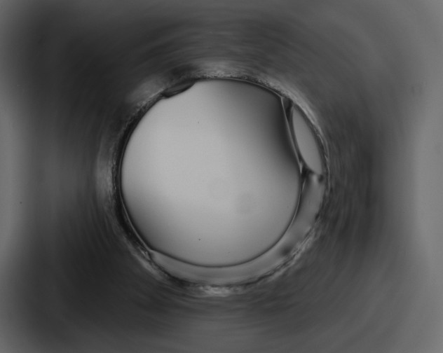 X0000086780105200705111803