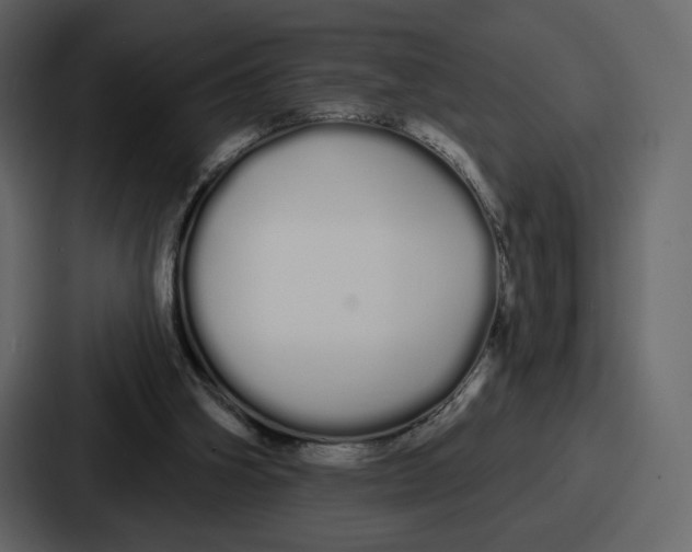 X0000086780106200705111803