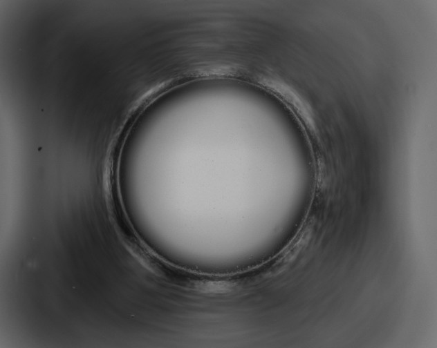 X0000086780107200705111803