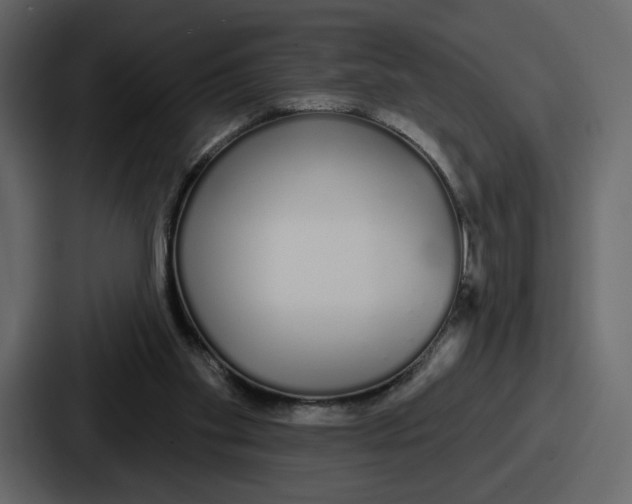 X0000086780109200705111803