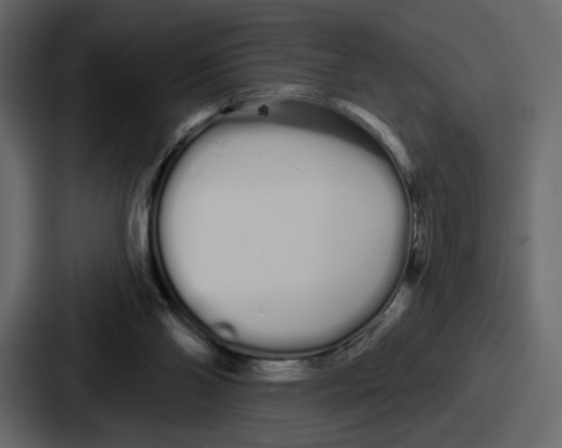 X0000086780110200705111803