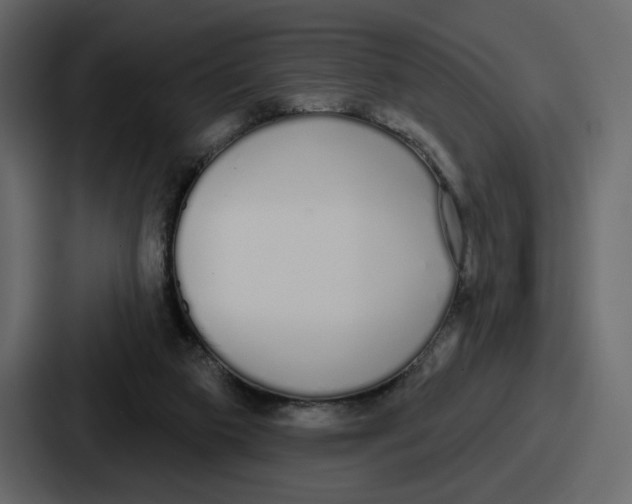 X0000086780113200705111803