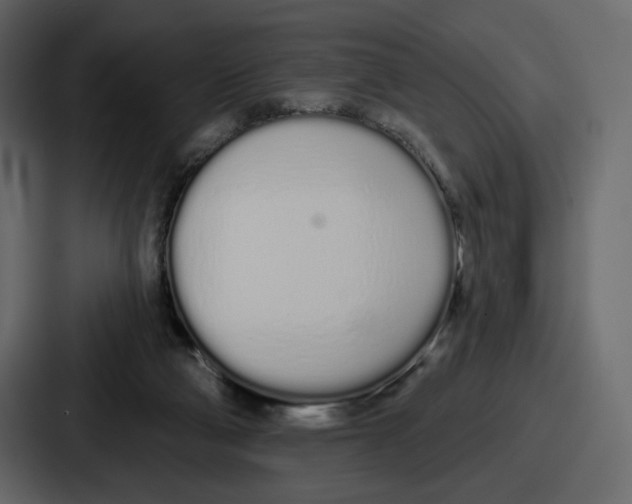 X0000086780114200705111803