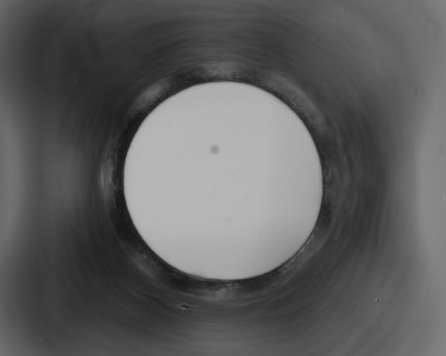 X0000086780116200705111803