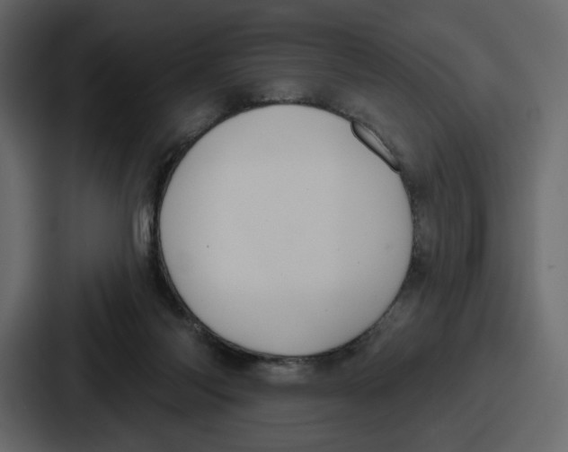 X0000086780118200705111803