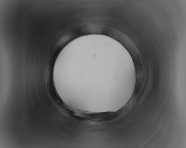 X0000086780120200705111803