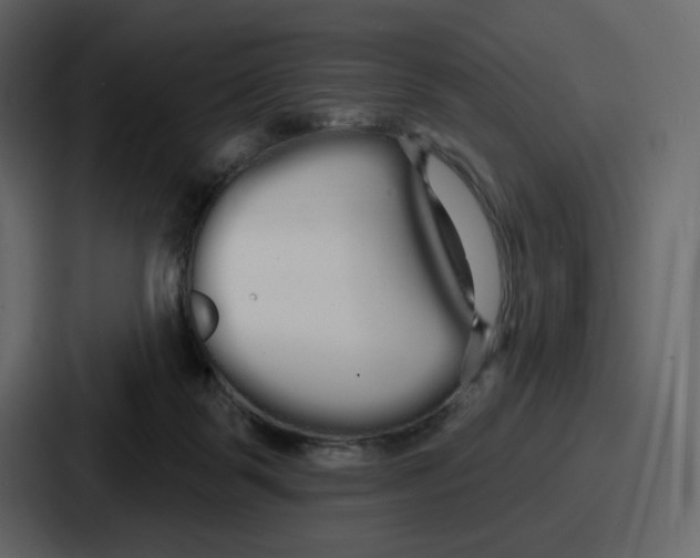 X0000086780123200705111802