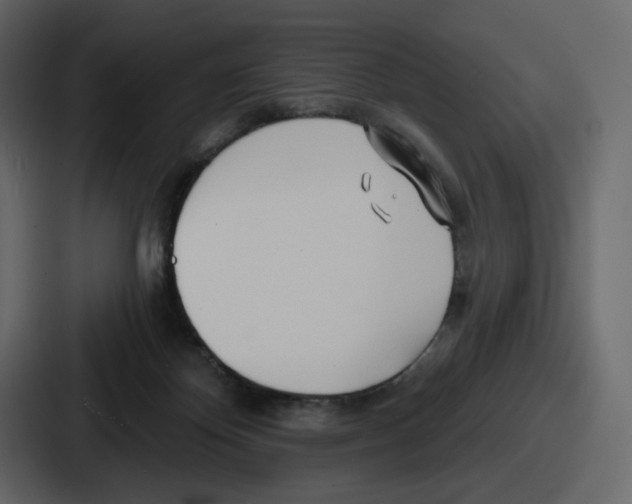 X0000086780124200705111802