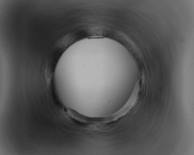 X0000086780125200705111802