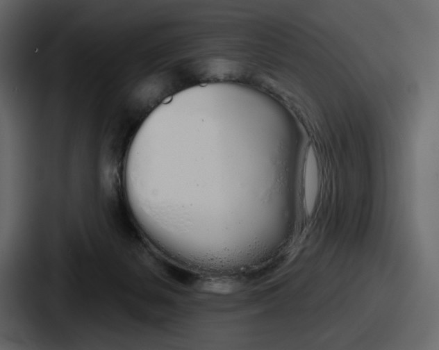 X0000086780127200705111802