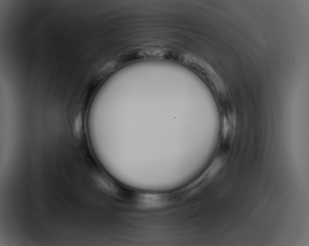 X0000086780134200705111802