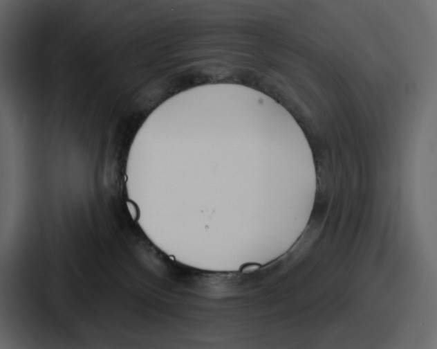 X0000086780136200705111802