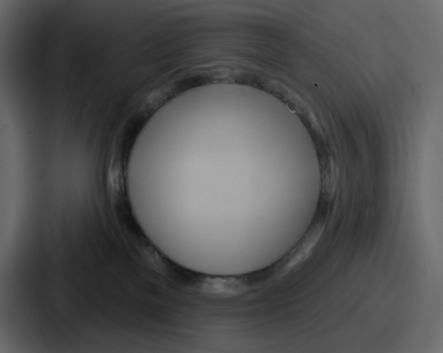 X0000086780137200705111802