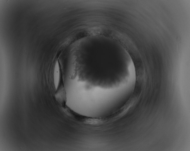 X0000086780139200705111802