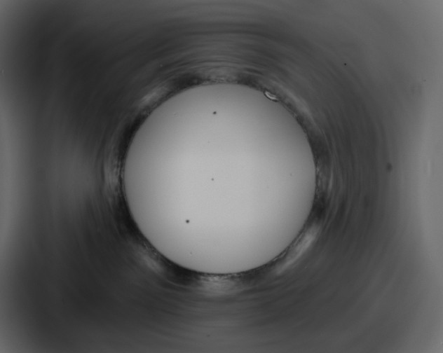 X0000086780141200705111802