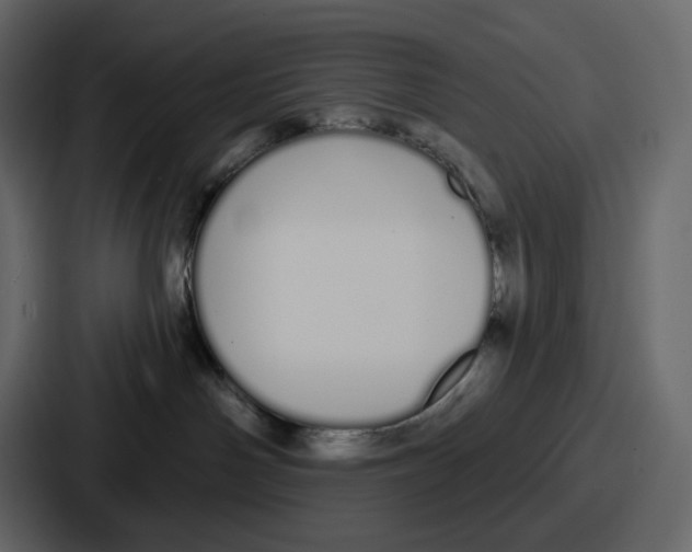 X0000086780142200705111802