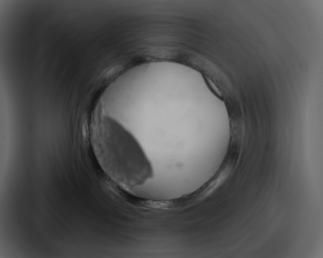 X0000086780143200705111802