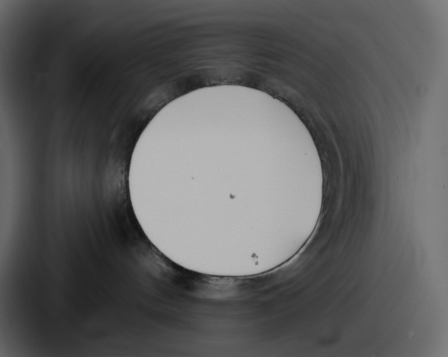 X0000086780144200705111802