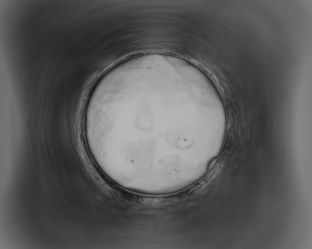 X0000086780145200705111802