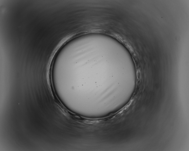 X0000086780147200705111802