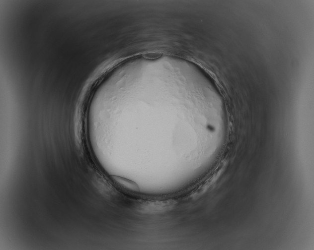 X0000086780149200705111802