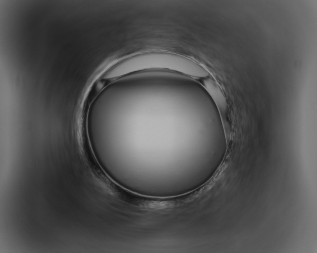 X0000086780152200705111802