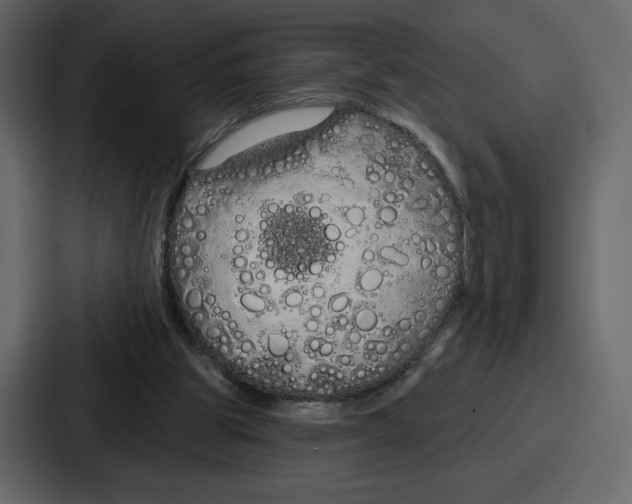 X0000086780153200705111802