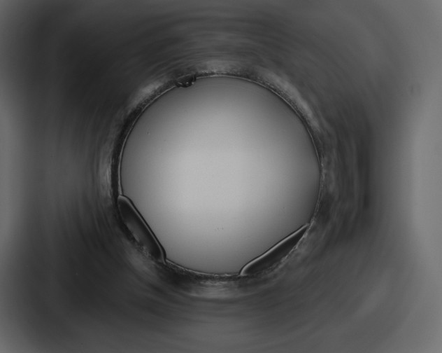 X0000086780154200705111802