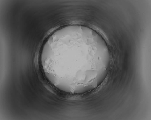 X0000086780155200705111802