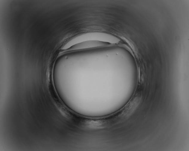 X0000086780157200705111802