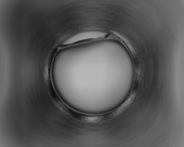 X0000086780158200705111802