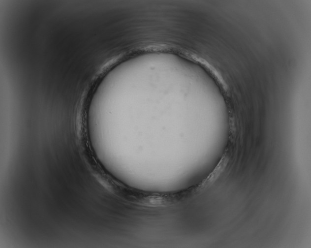 X0000086780159200705111802