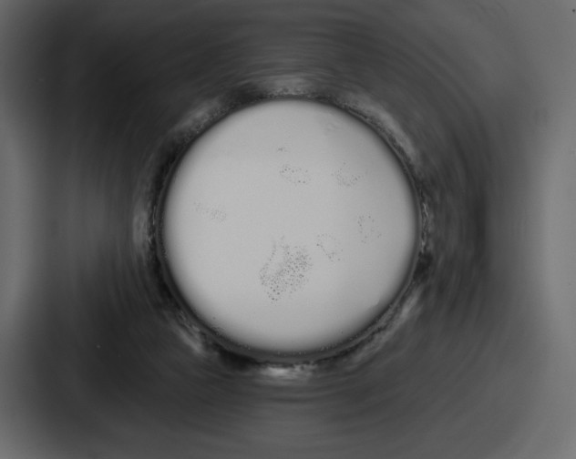 X0000086780161200705111802