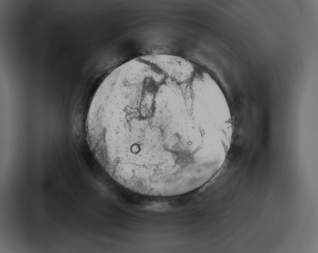 X0000086780162200705111802