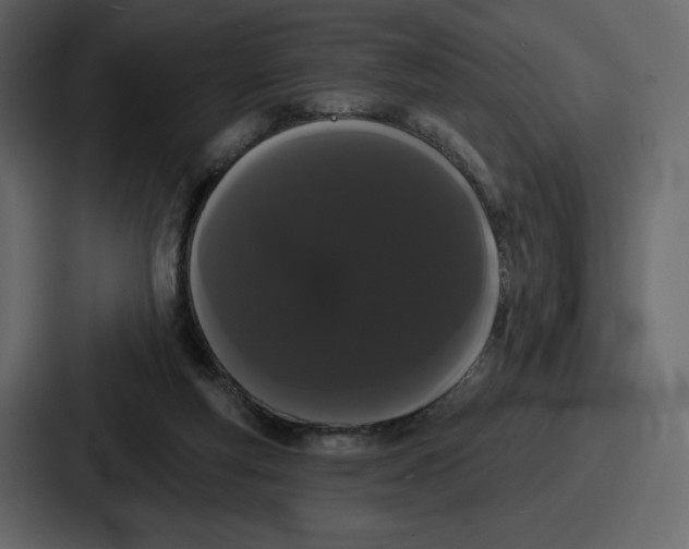 X0000086780163200705111802