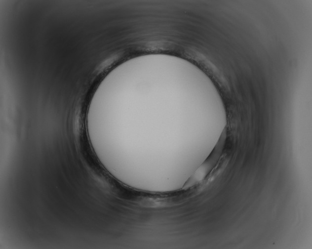 X0000086780164200705111802