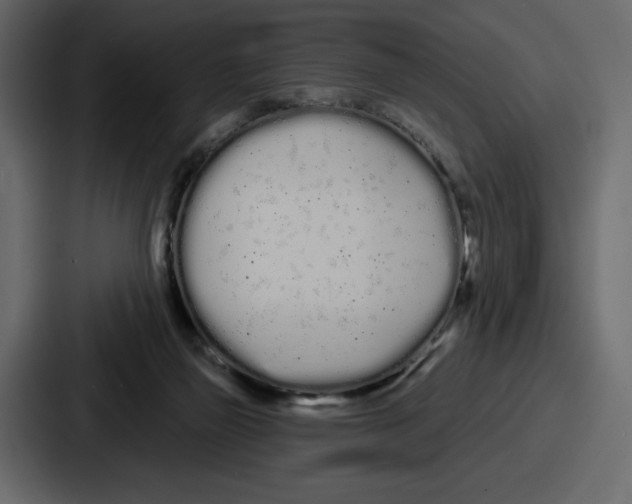 X0000086780165200705111802