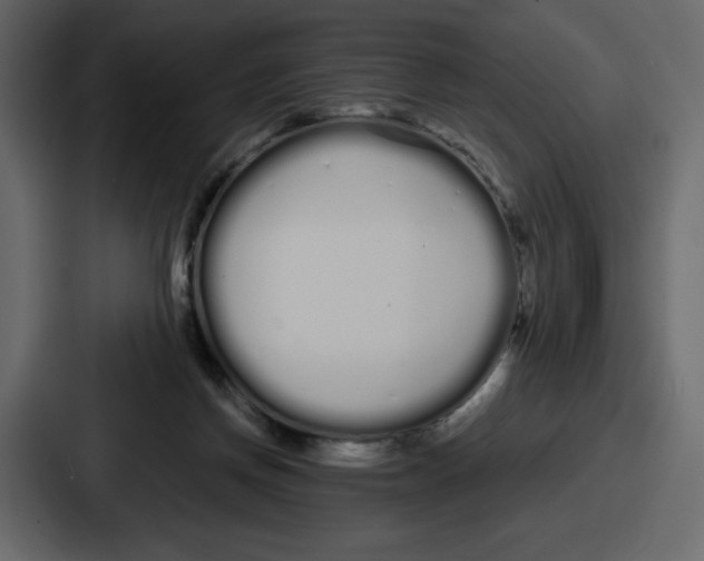 X0000086780166200705111802