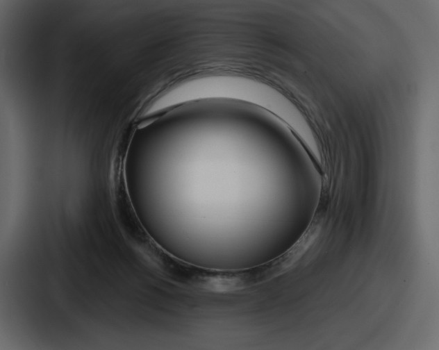 X0000086780168200705111802