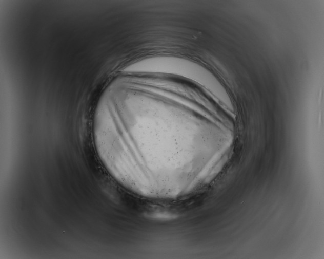 X0000086780169200705111802