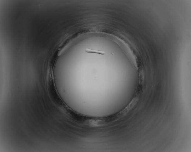 X0000086780172200705111802