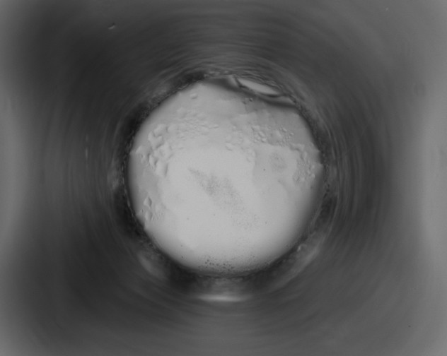 X0000086780173200705111802