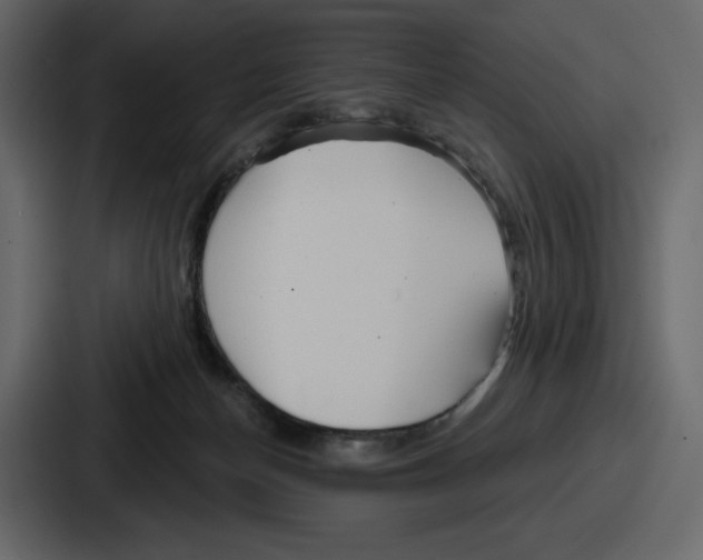 X0000086780174200705111802