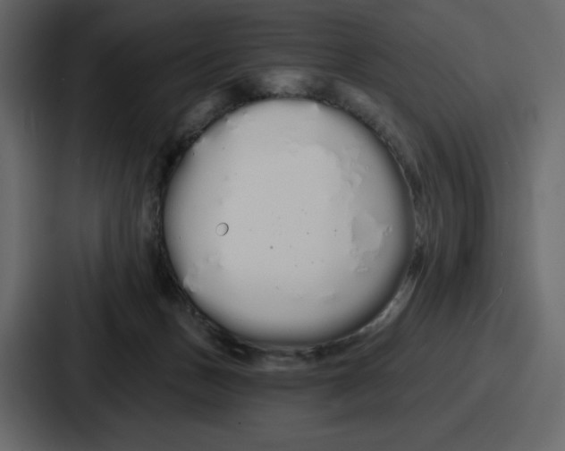 X0000086780175200705111802