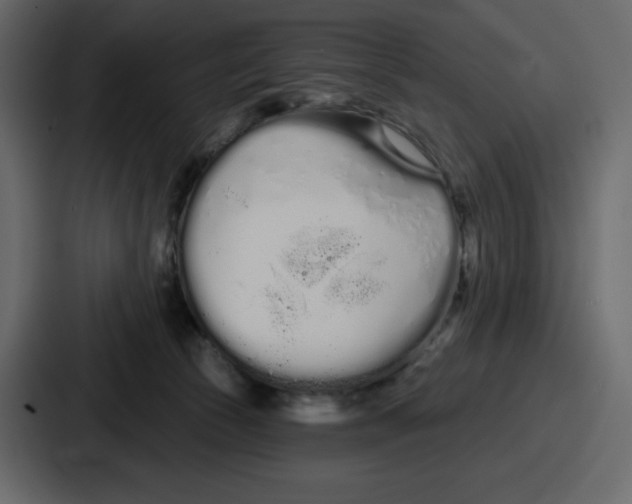 X0000086780177200705111802