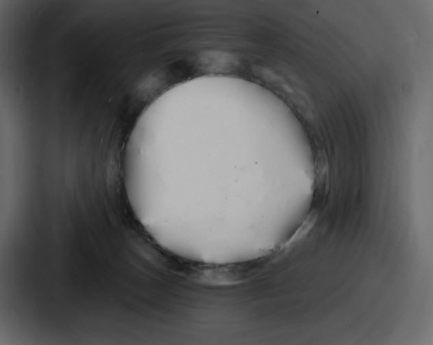 X0000086780179200705111802