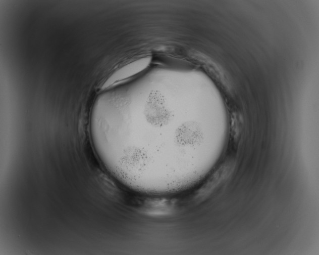 X0000086780181200705111802